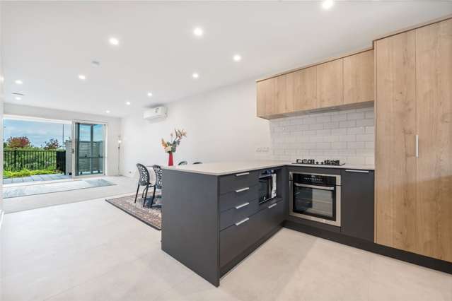 40 Whimbrel Road Flat Bush_3