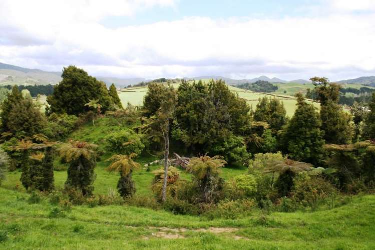 239c Waitawheta Road Waikino_19