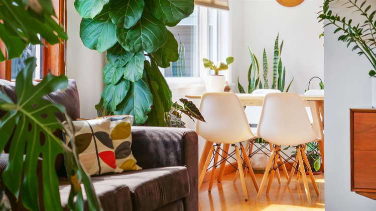 269 Estuary Road South New Brighton_9