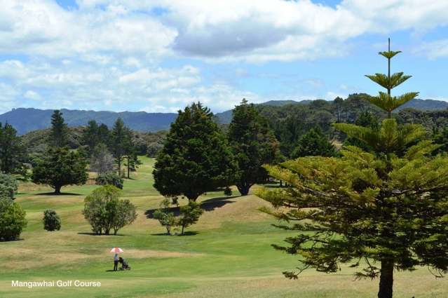 36 Pearson Street Mangawhai_3