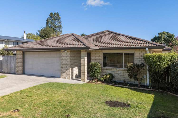74A Park Road Katikati_21