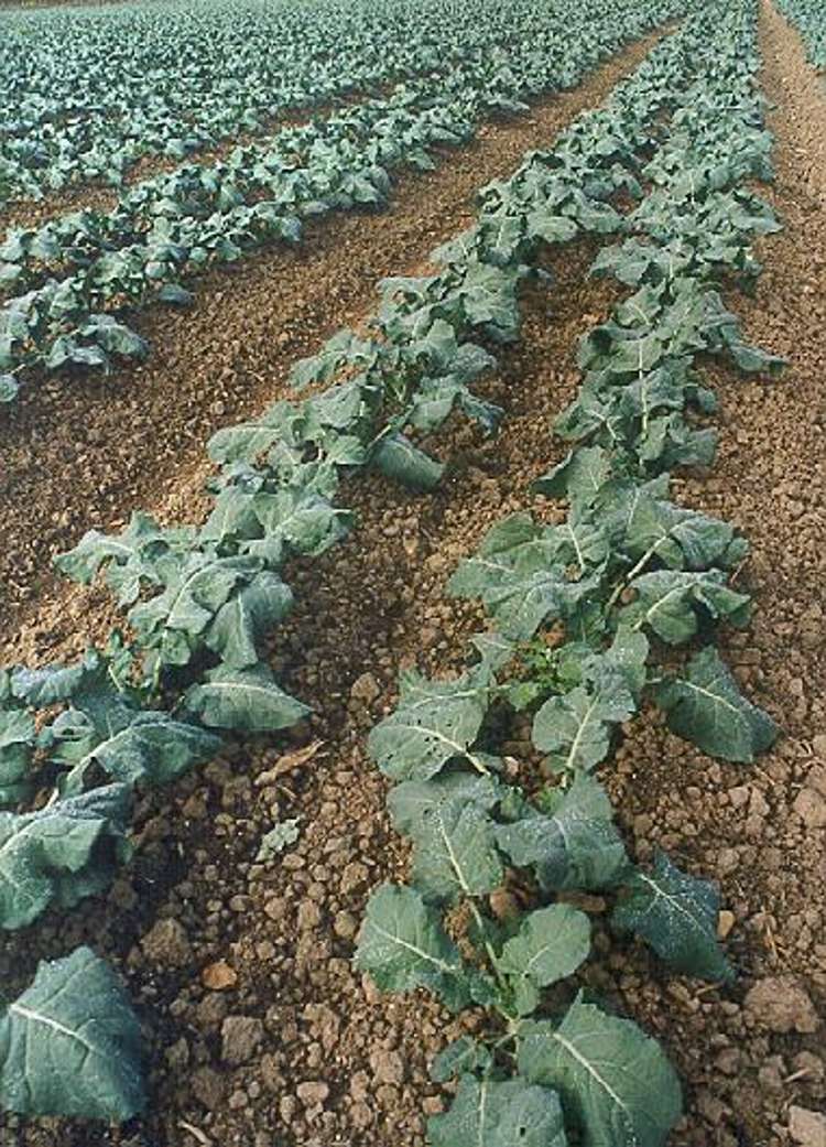 363 Matawai Road Waerenga A Hika_6