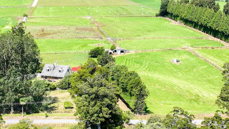 294 Sheddan Road Tapanui_34