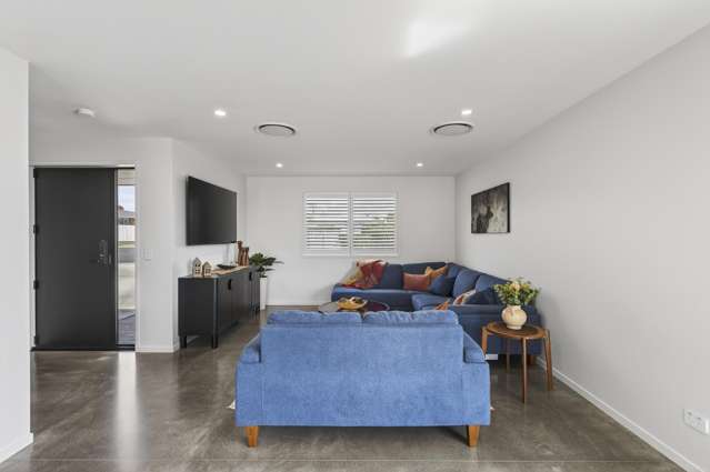 247 Huatoki Street Upper Vogeltown_4