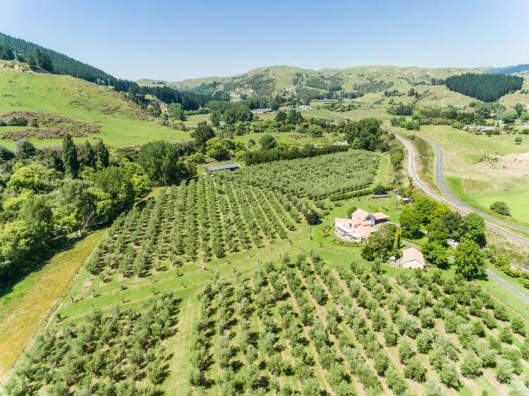 92 Ellis Wallace Road Eskdale_21