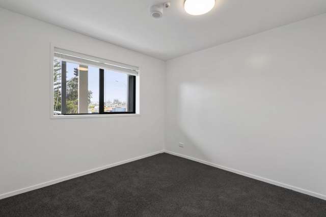 1C/4045 Great North Road 1665_3