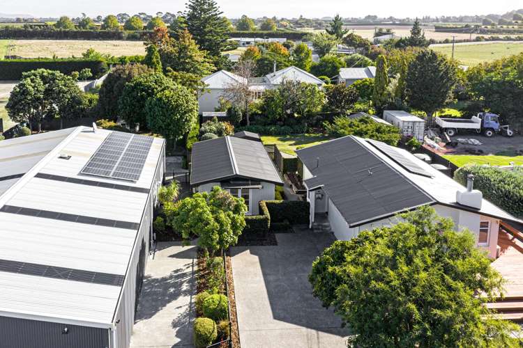 28 Pitt Street Clive_15