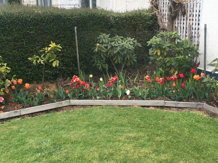 23 Witham Street Oamaru_23