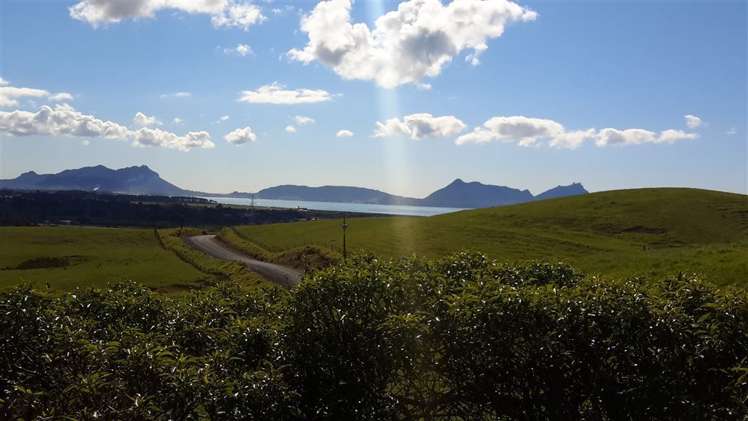 229 Sandford Road Ruakaka_18