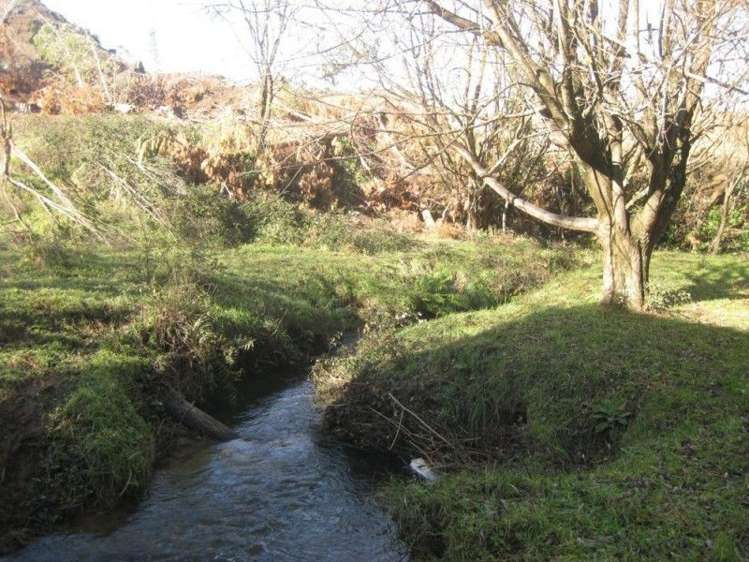 600 Tataramoa Road Rangitikei Surrounds_15