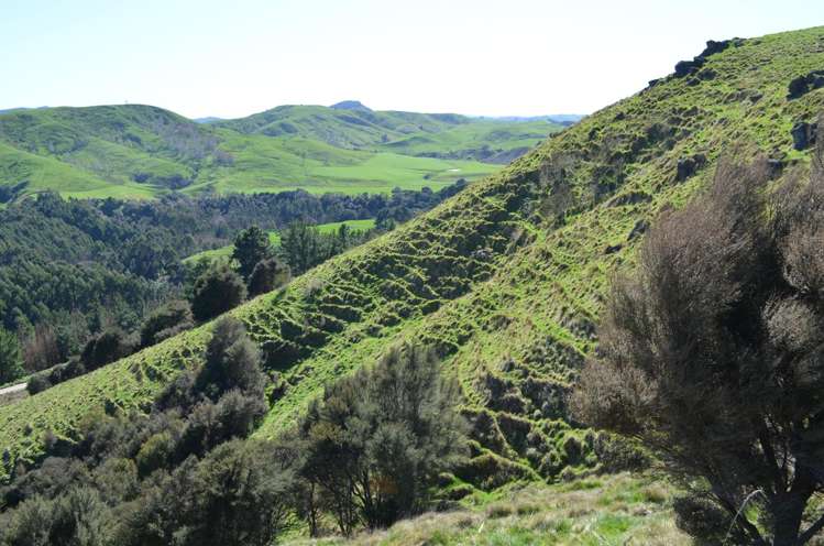 Mangapurupuru Road Bideford_13