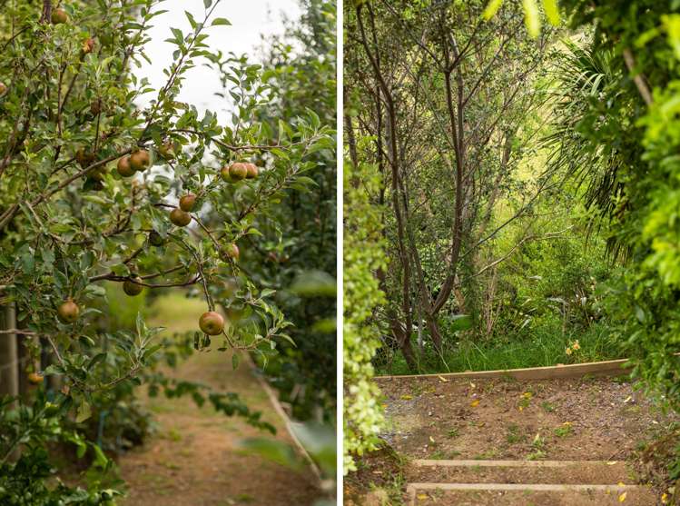 137a Wainui South Road Whakamarama_26