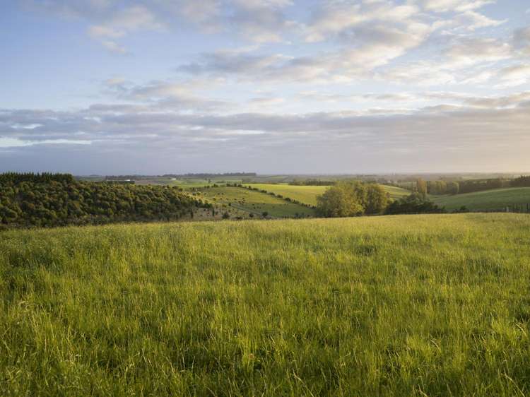 336 Spur Road Rosewill_20