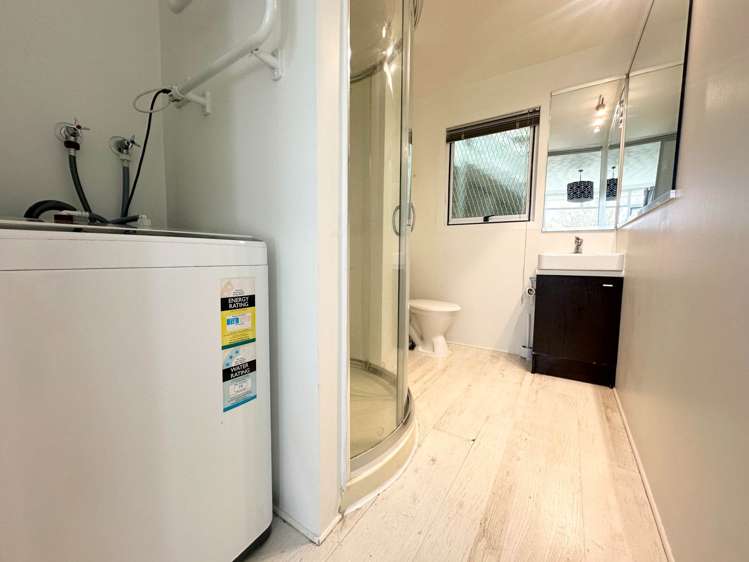 4/5 Claybrook Road Parnell_9