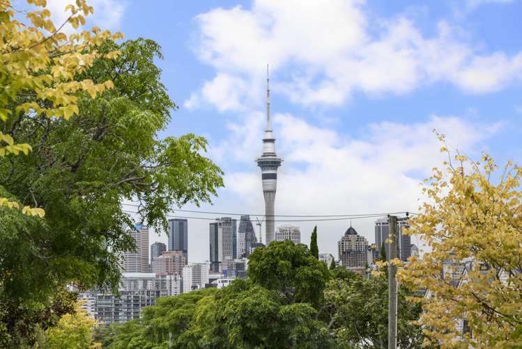 2a Collingwood Street Freemans Bay_20