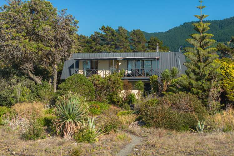 114 Rarangi Beach Road Rarangi_41