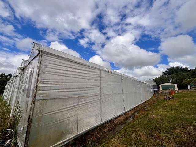 21 Puke Road Huapai_4