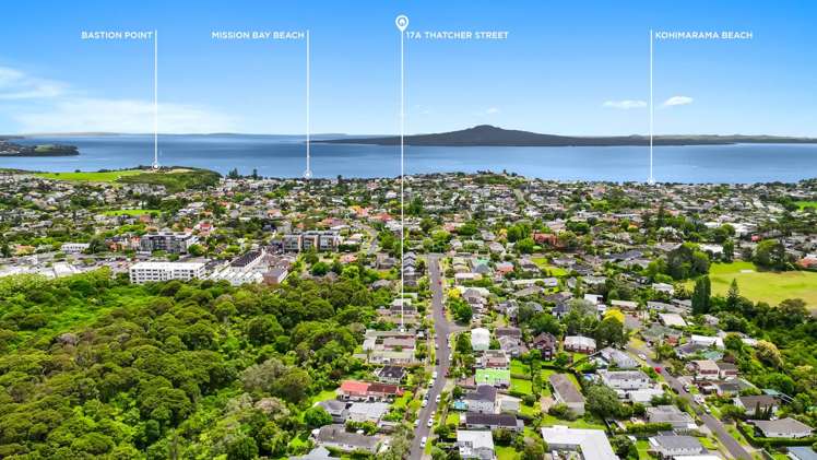 17a Thatcher Street Mission Bay_31