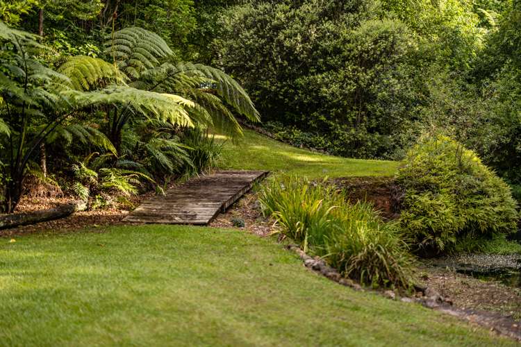 308 Waipapa Road Kerikeri Surrounds_33