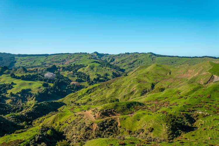 229 Rangikohua Road Tolaga Bay_14