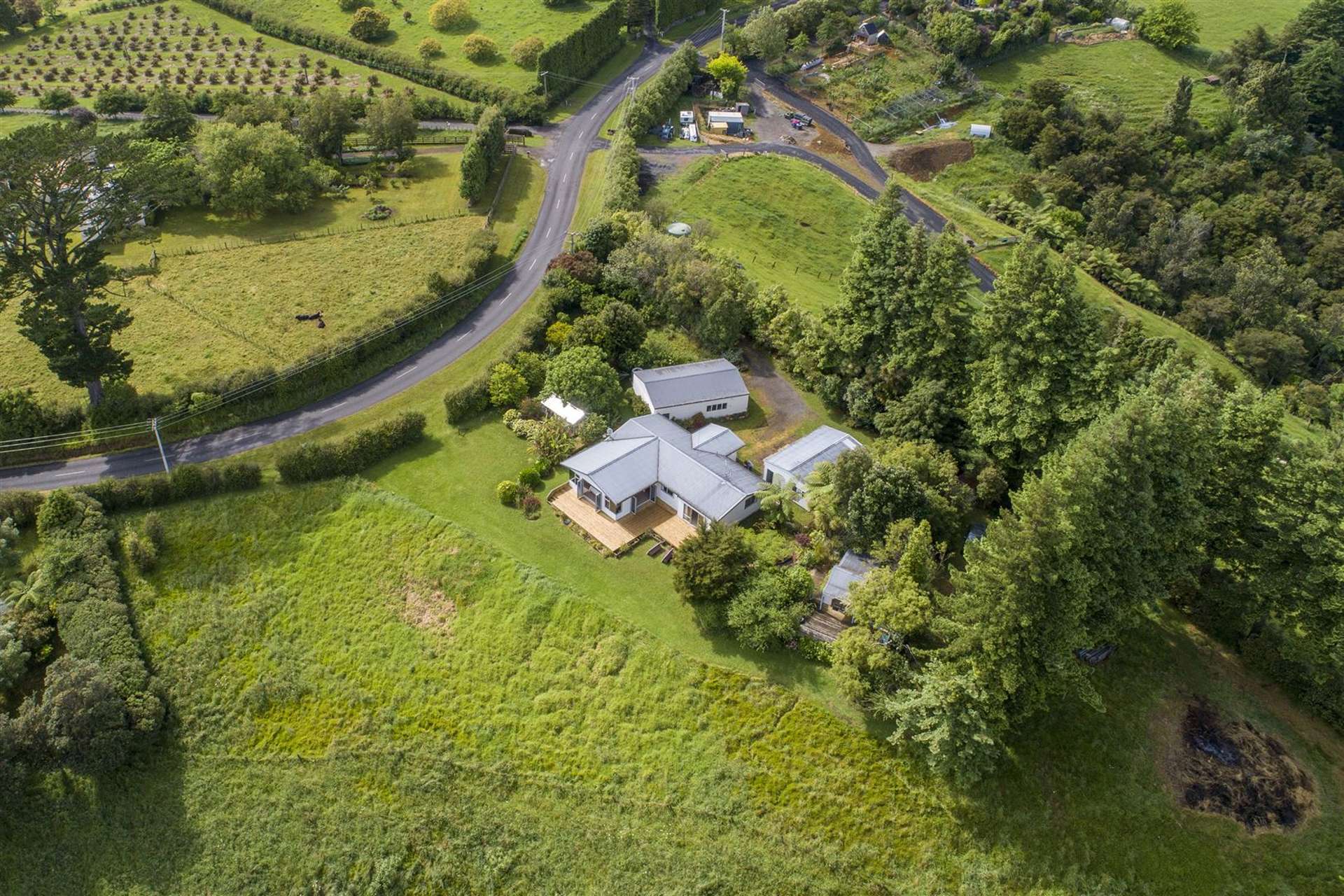 222 Wainui South Road Whakamarama_0