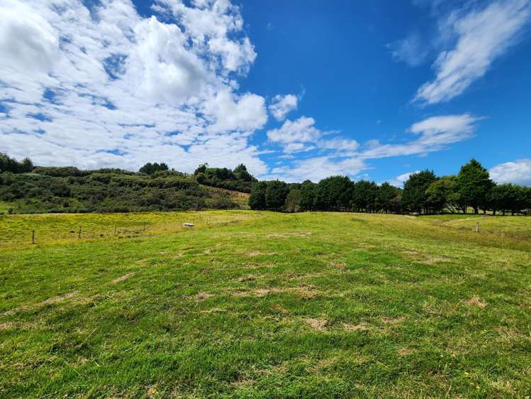 141 Taylorville Road Coal Creek_20