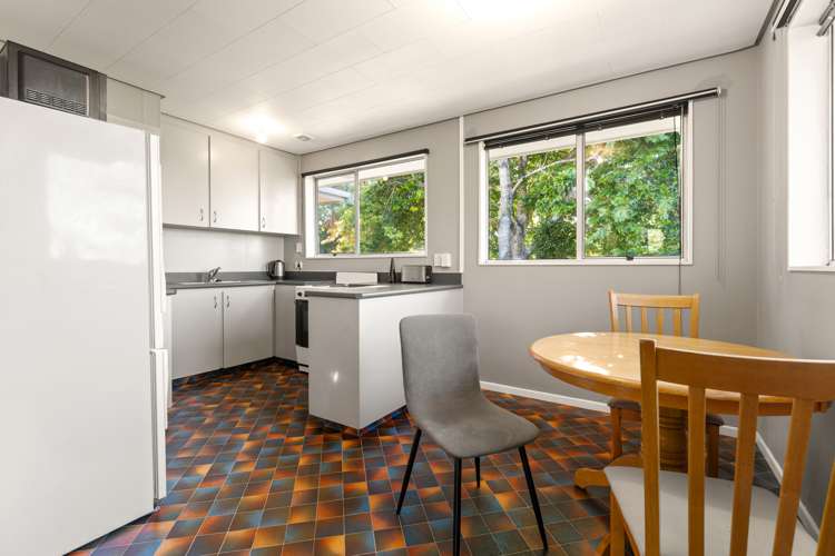 103 Stafford Street Dunedin Central_5