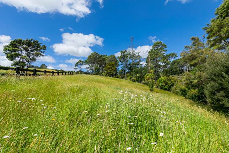 33 Fernielea Park Drive Riverhead_18