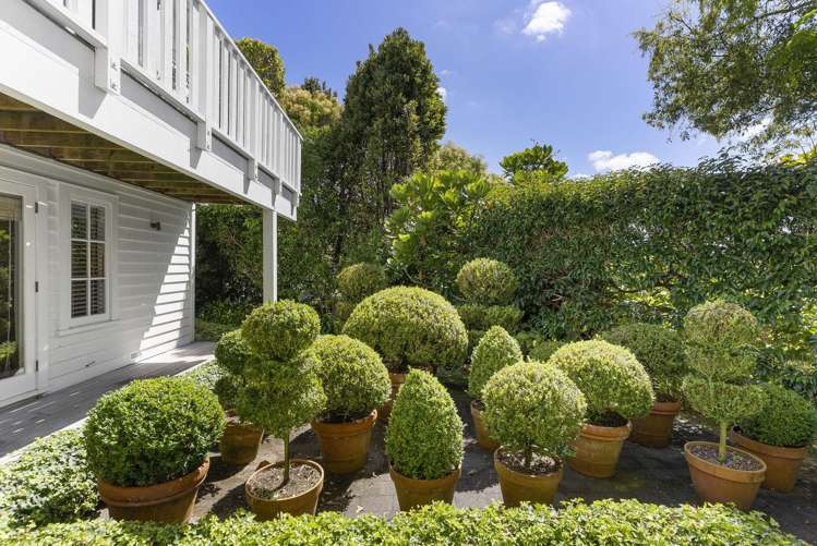 6 Cowie Street Parnell_15