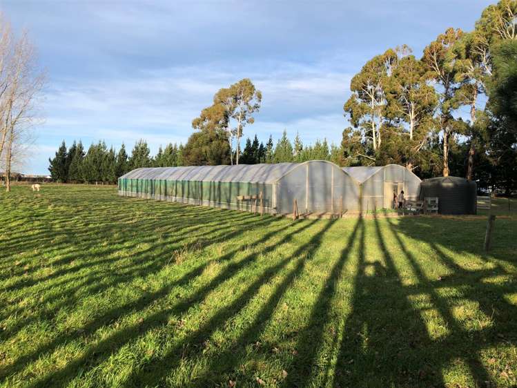 1118 Tram Road Swannanoa_9