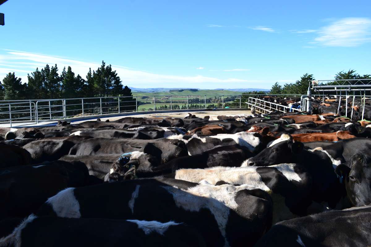 89 Brookstead Road_3