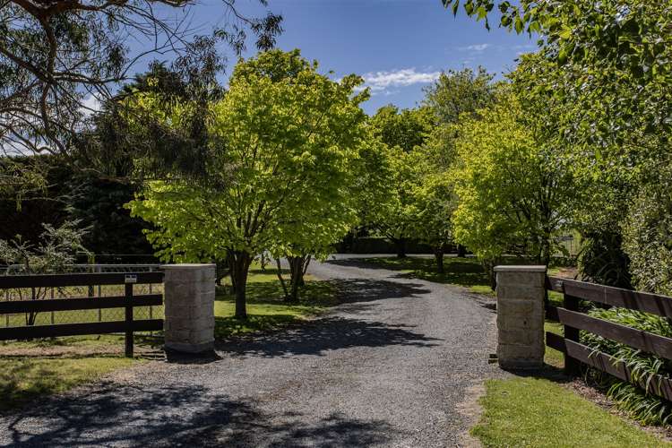 134 Merton Road Fernside_22