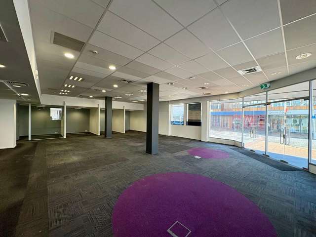 139 Willow Street Tauranga Central_2