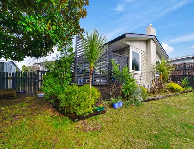 20 Totaravale Street Pukehangi_1