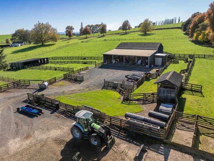 24 Waterworks Road Morrinsville_27