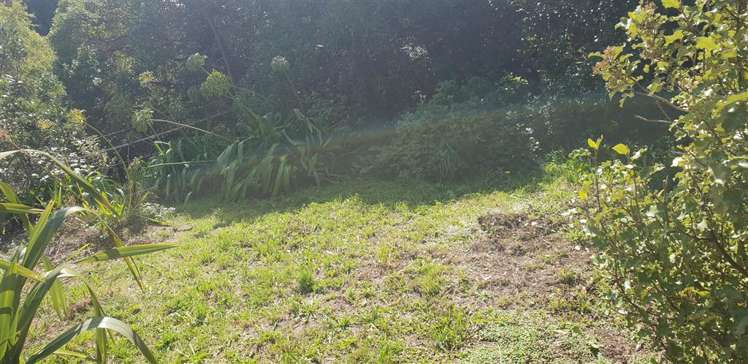 119 Volga Street Island Bay_12