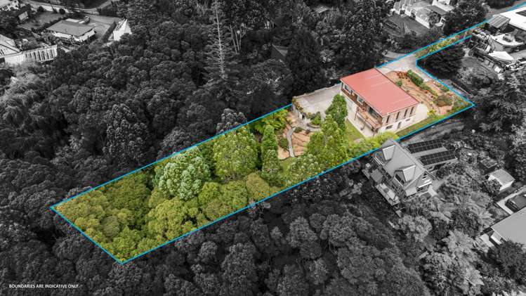 67 Daffodil Street Titirangi_22