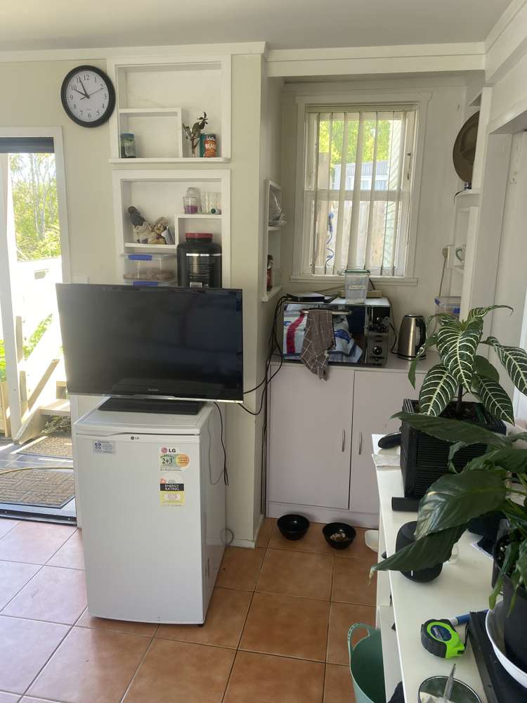 102 Sunrise Avenue Mairangi Bay_9