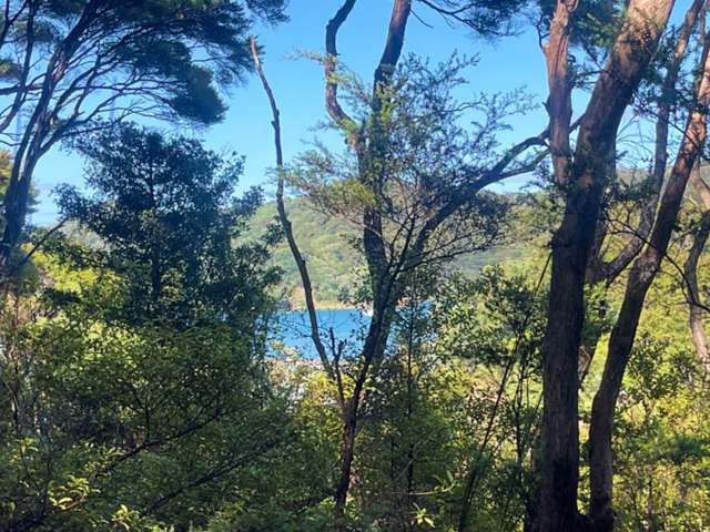 665 & 667 Whangaparapara Road Great Barrier Island_2