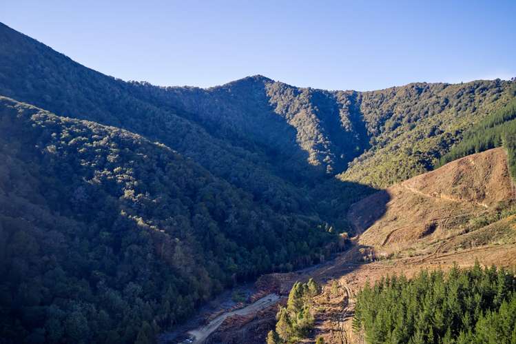Crail Bay Kenepuru Sound_20