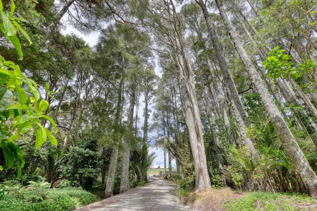 128 Settlement Road Kaiwaka_4