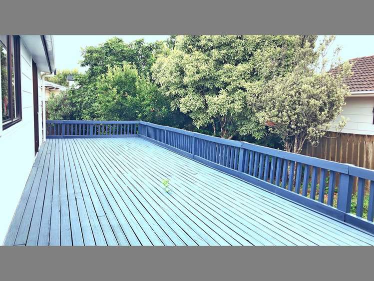 49a Larnoch Road Henderson_13