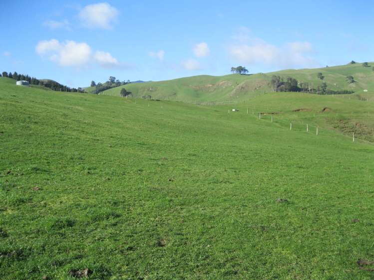 Mangatete Road Ngakuru_5