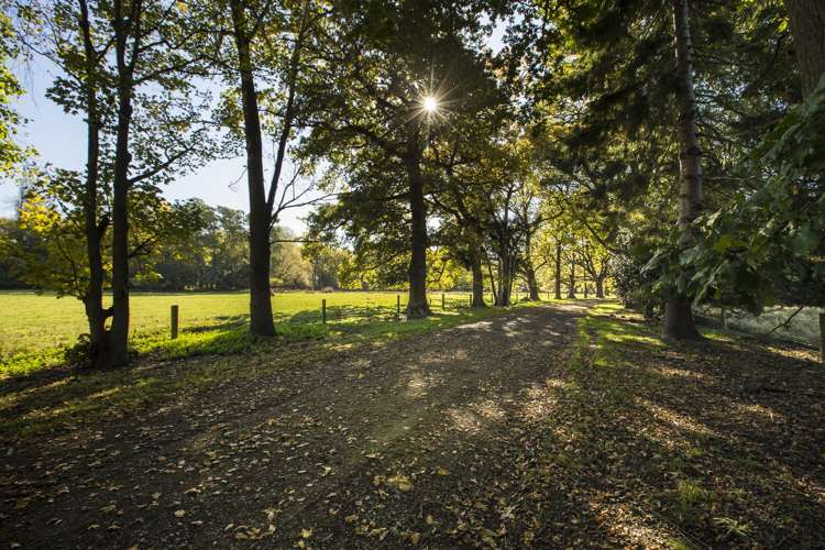 541 Beaconsfield Road Pareora West_19