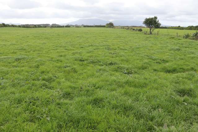 378 Stent Road Warea_4