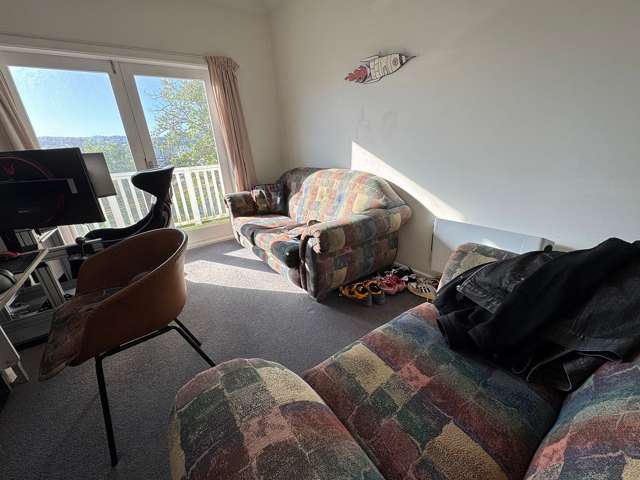 34 Austin Street Mount Victoria_2