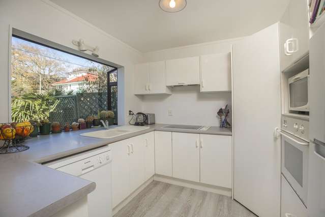 88a Carlton Street Hillsborough_2