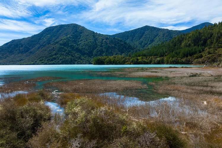 Lot 1 Nydia Bay Marlborough Sounds_8