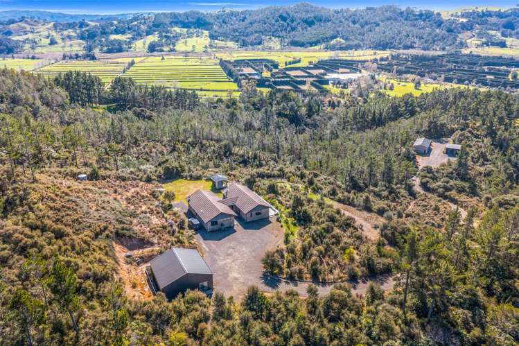 1409SH Tairua Whitianga Hwy_0