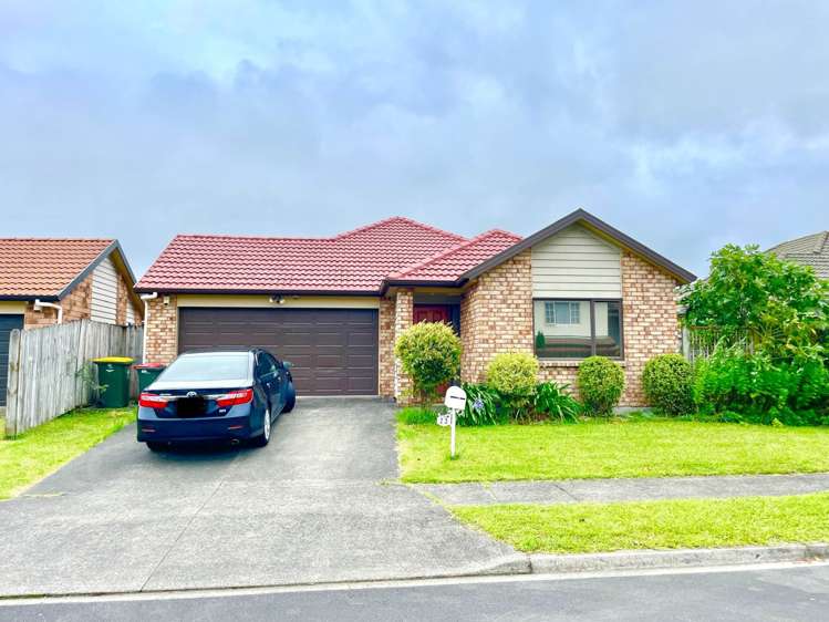 23 Mandival Avenue Flat Bush_1